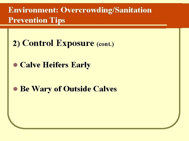 Environment: Overcrowding/Sanitation Prevention Tips 2) Control Exposure (cont. ) l Calve l Be Heifers