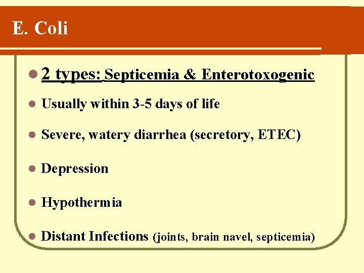 E. Coli l 2 types: Septicemia & Enterotoxogenic l Usually within 3 -5 days
