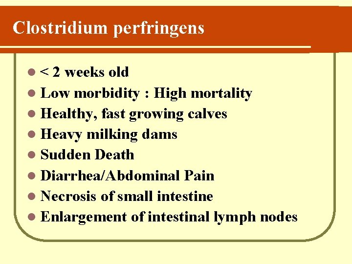 Clostridium perfringens l< 2 weeks old l Low morbidity : High mortality l Healthy,