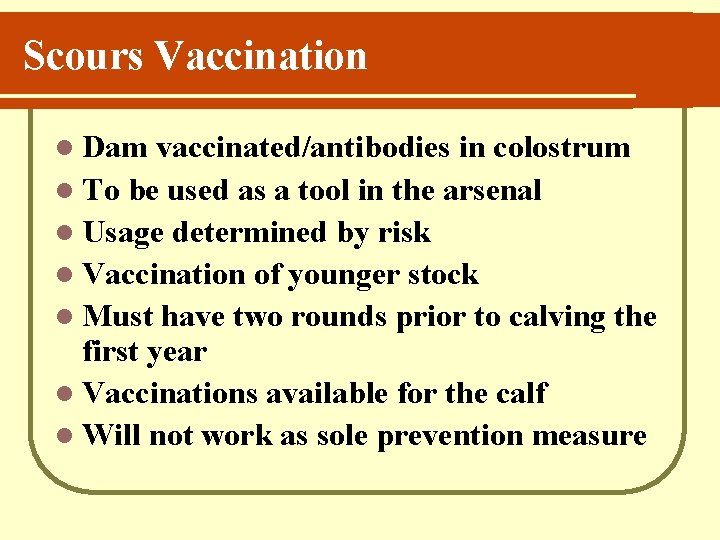 Scours Vaccination l Dam vaccinated/antibodies in colostrum l To be used as a tool