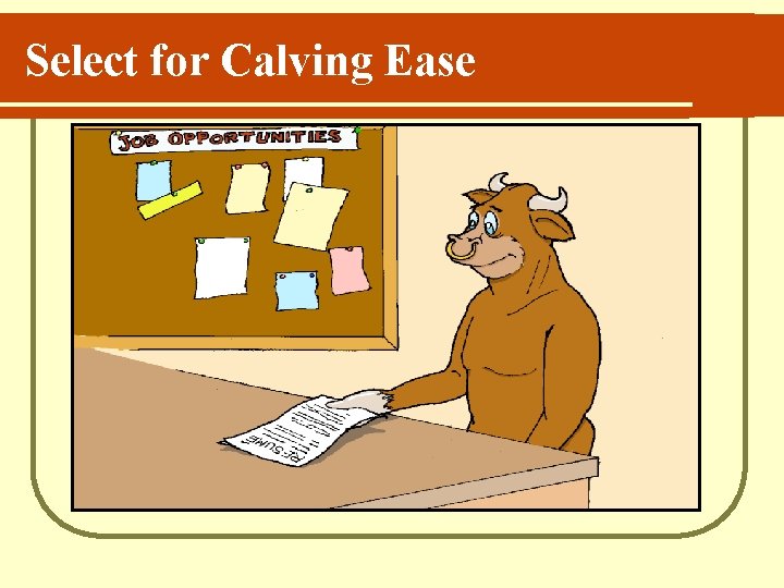 Select for Calving Ease 