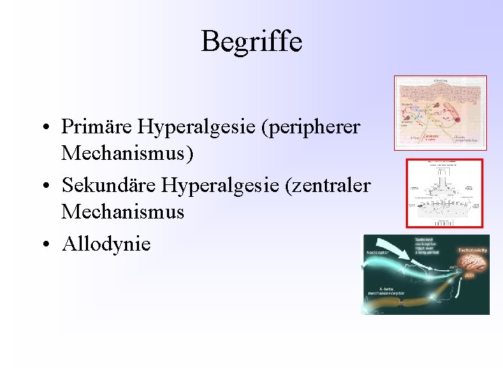 Begriffe • Primäre Hyperalgesie (peripherer Mechanismus) • Sekundäre Hyperalgesie (zentraler Mechanismus • Allodynie 