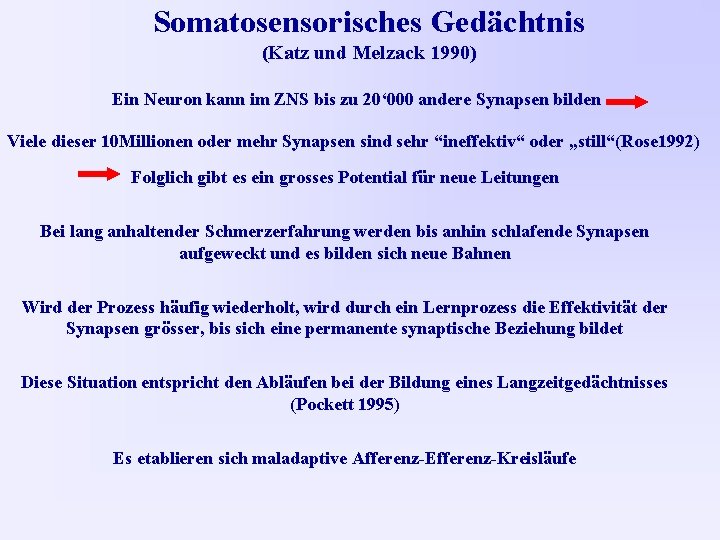 Somatosensorisches Gedächtnis (Katz und Melzack 1990) Ein Neuron kann im ZNS bis zu 20‘