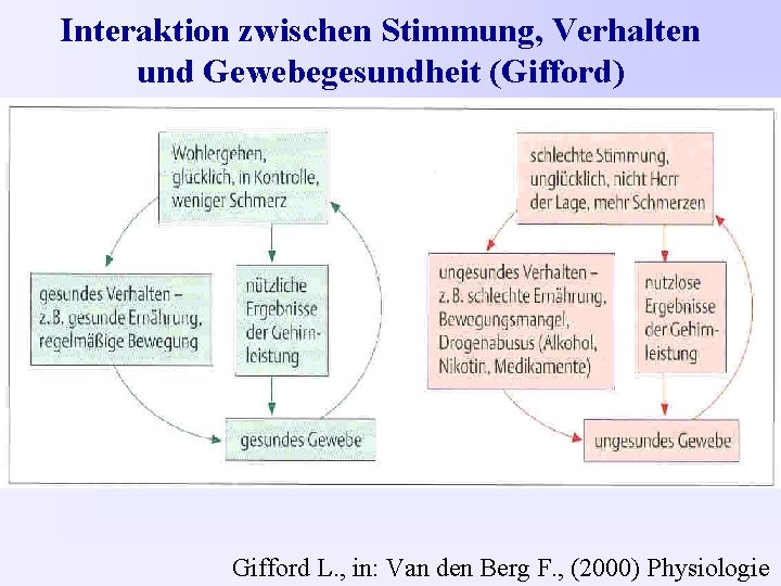 Interaktion zwischen Stimmung, Verhalten und Gewebegesundheit (Gifford) Gifford L. , in: Van den Berg