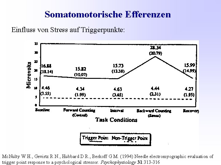 Somatomotorische Efferenzen Einfluss von Stress auf Triggerpunkte: Mc. Nulty W H. , Gevirtz R
