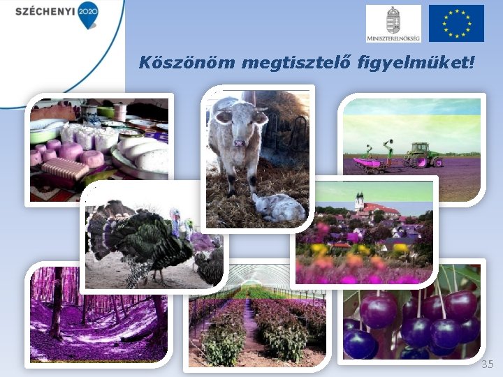 Köszönöm megtisztelő figyelmüket! 35 