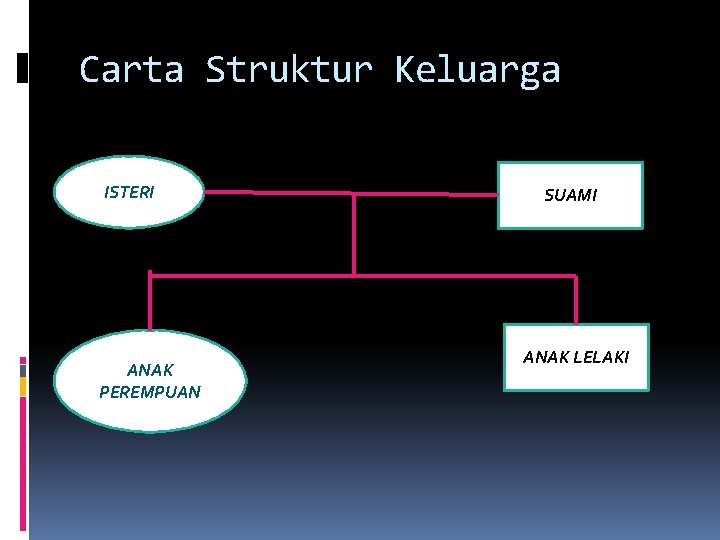 Carta Struktur Keluarga ISTERI ANAK PEREMPUAN SUAMI ANAK LELAKI 