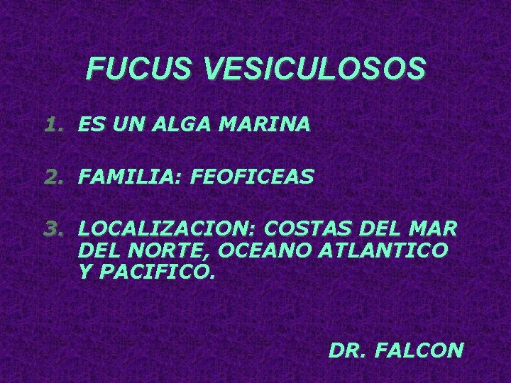 FUCUS VESICULOSOS 1. ES UN ALGA MARINA 2. FAMILIA: FEOFICEAS 3. LOCALIZACION: COSTAS DEL FUCUS VESICULOSOS 1. ES UN ALGA MARINA 2. FAMILIA: FEOFICEAS 3. LOCALIZACION: COSTAS DEL
