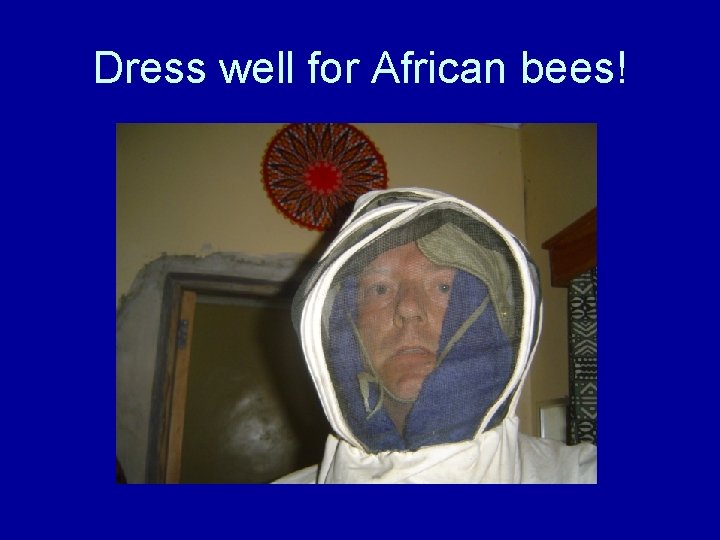 Dress well for African bees! 