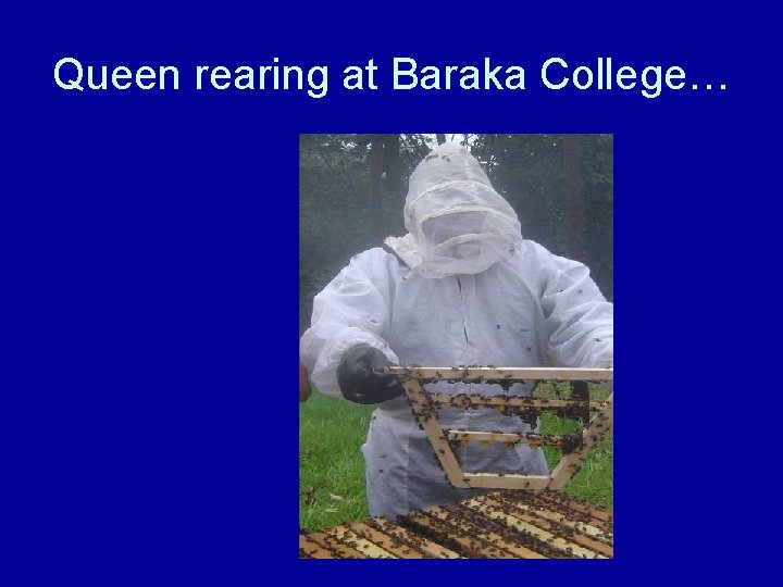 Queen rearing at Baraka College… 