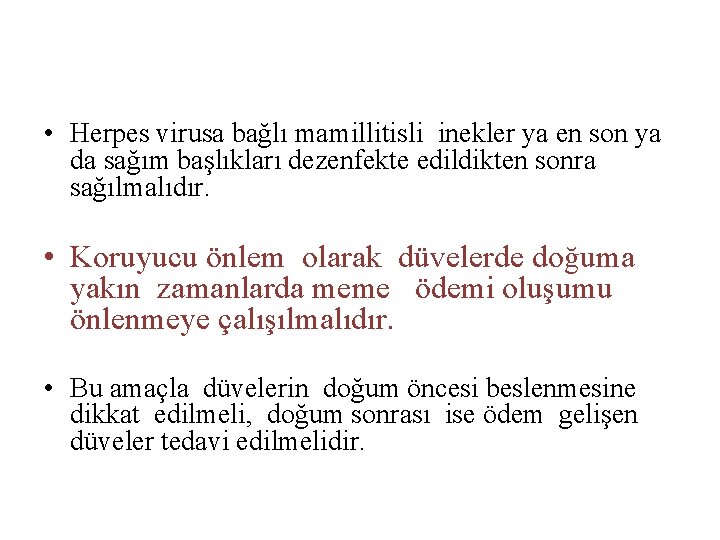  • Herpes virusa bağlı mamillitisli inekler ya en son ya da sağım başlıkları