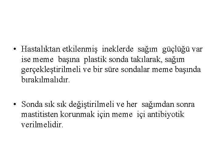  • Hastalıktan etkilenmiş ineklerde sağım güçlüğü var ise meme başına plastik sonda takılarak,