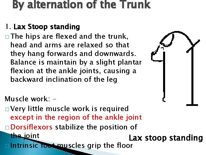 By alternation of the Trunk 1. Lax Stoop standing � The hips are flexed