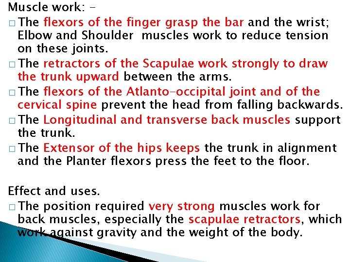 Muscle work: � The flexors of the finger grasp the bar and the wrist;