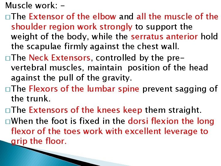Muscle work: � The Extensor of the elbow and all the muscle of the