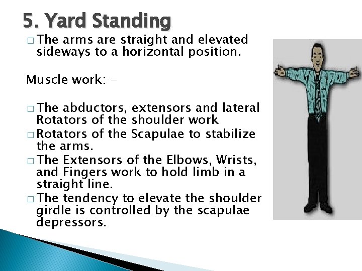 5. Yard Standing � The arms are straight and elevated sideways to a horizontal