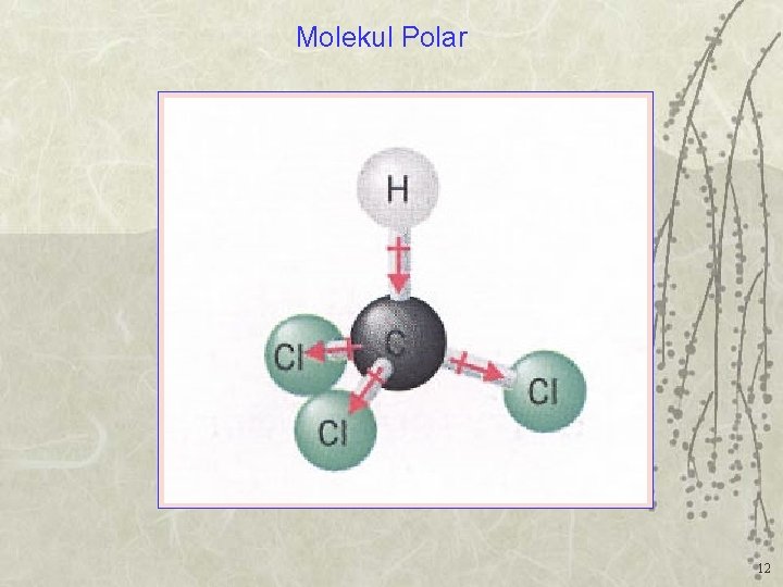 Molekul Polar 12 