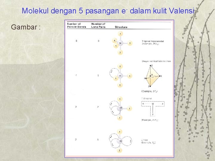 Molekul dengan 5 pasangan e- dalam kulit Valensi Gambar : 7 