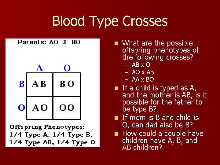 Blood Type Crosses n What are the possible offspring phenotypes of the following crosses?