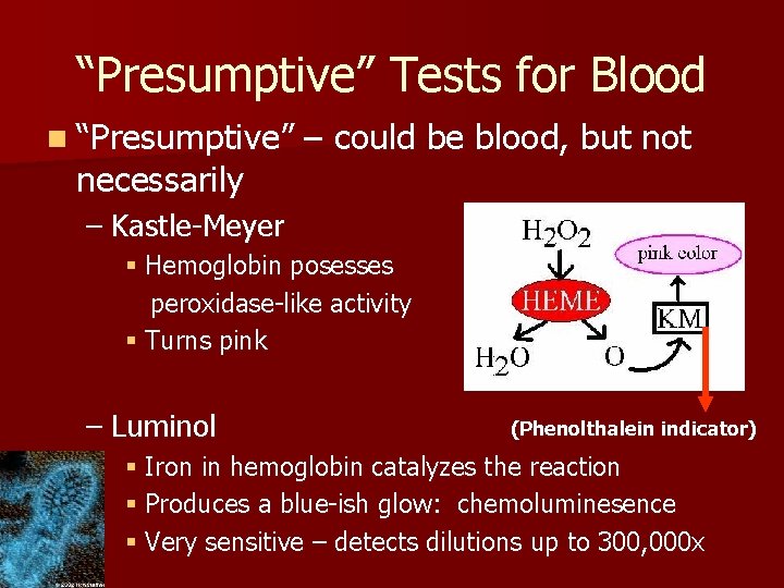 “Presumptive” Tests for Blood n “Presumptive” necessarily – could be blood, but not –