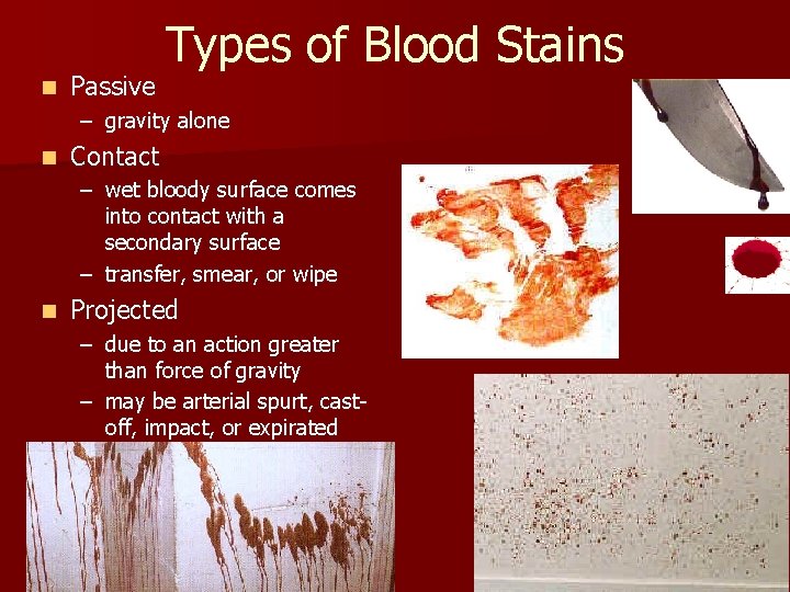 n Passive Types of Blood Stains – gravity alone n Contact – wet bloody