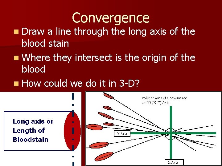 n Draw Convergence a line through the long axis of the blood stain n