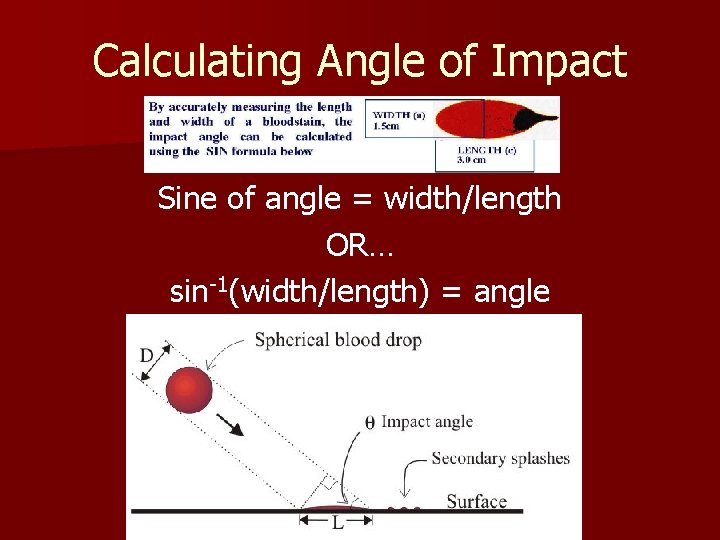 Calculating Angle of Impact Sine of angle = width/length OR… sin-1(width/length) = angle 