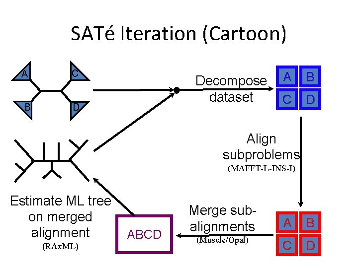 SATé Iteration (Cartoon) A C B D Decompose dataset A B C D Align