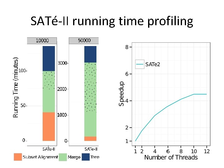 SATé-II running time profiling 