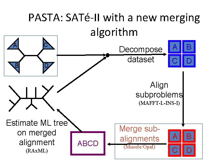 PASTA: SATé-II with a new merging algorithm A C B D Decompose dataset A