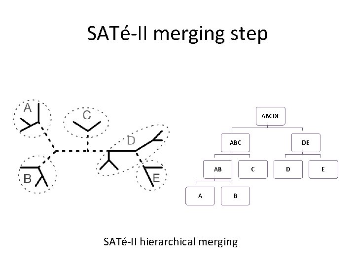 SATé-II merging step ABCDE ABC AB A DE C B SATé-II hierarchical merging D