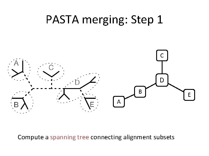 PASTA merging: Step 1 C D B A Compute a spanning tree connecting alignment