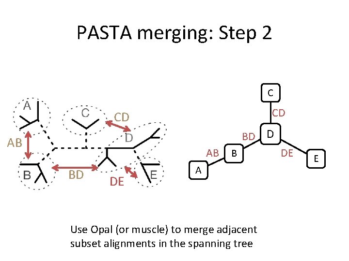 PASTA merging: Step 2 C CD CD BD D AB AB BD DE B