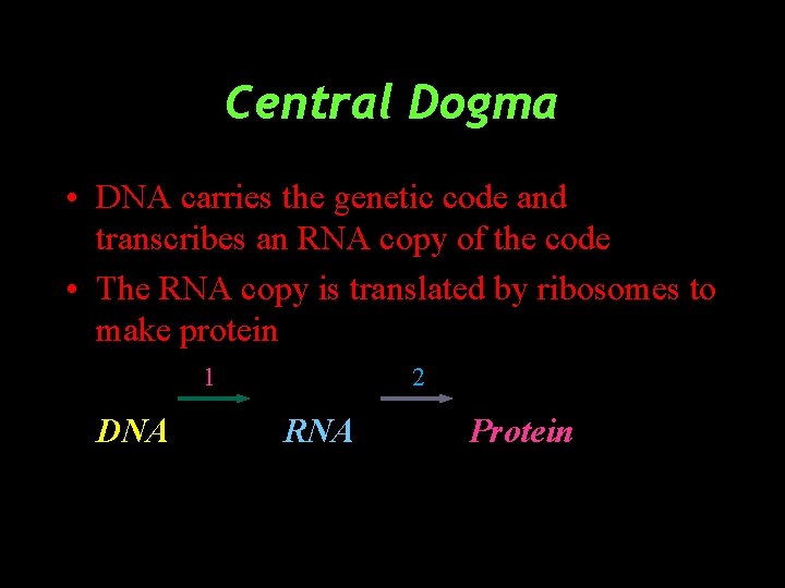 Central Dogma • DNA carries the genetic code and transcribes an RNA copy of
