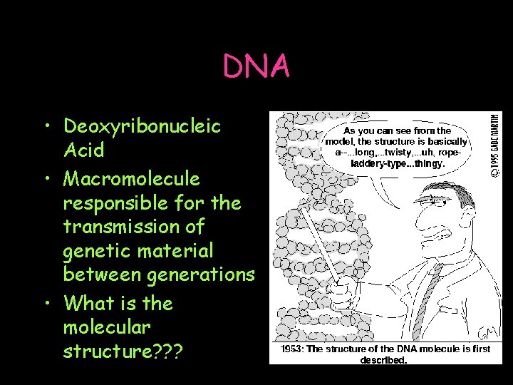 DNA • Deoxyribonucleic Acid • Macromolecule responsible for the transmission of genetic material between