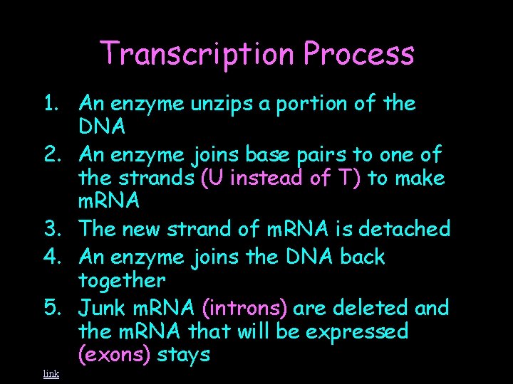 Transcription Process 1. An enzyme unzips a portion of the DNA 2. An enzyme
