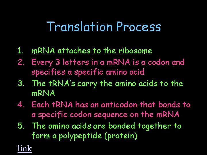 Translation Process 1. m. RNA attaches to the ribosome 2. Every 3 letters in