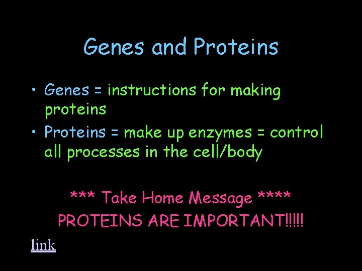 Genes and Proteins • Genes = instructions for making proteins • Proteins = make