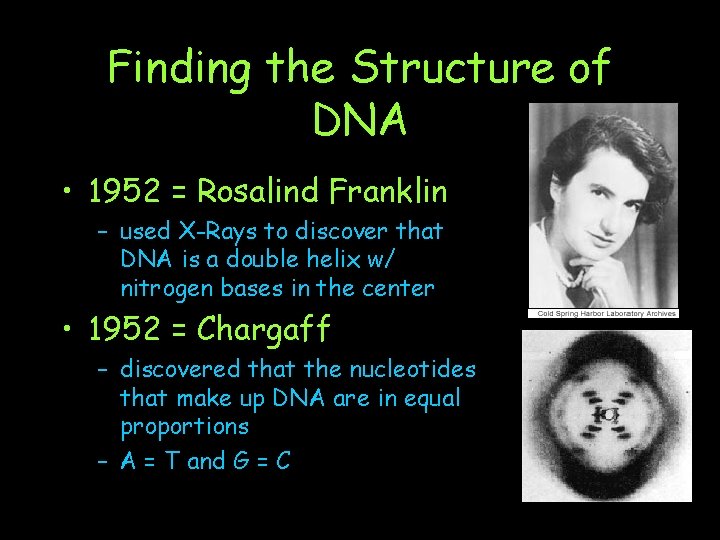 Finding the Structure of DNA • 1952 = Rosalind Franklin – used X-Rays to