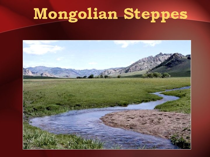 Mongolian Steppes 