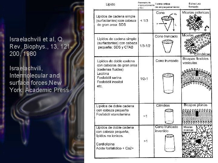 Israelachvili et al, Q. Rev. Biophys. , 13, 121200, 1980 Israelachvili, Intermolecular and surface