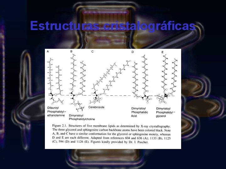 Estructuras cristalográficas 