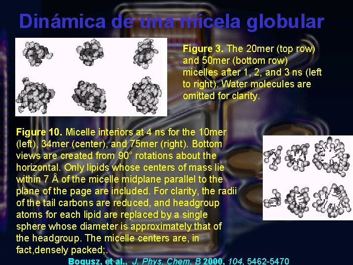 Dinámica de una micela globular Figure 3. The 20 mer (top row) and 50