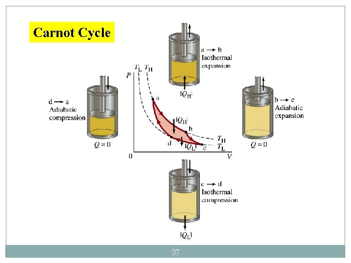 Carnot Cycle 37 
