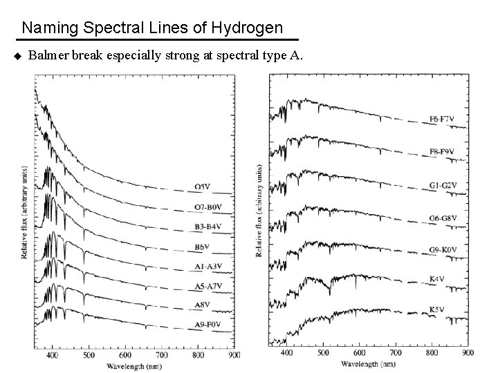 Naming Spectral Lines of Hydrogen u Balmer break especially strong at spectral type A.