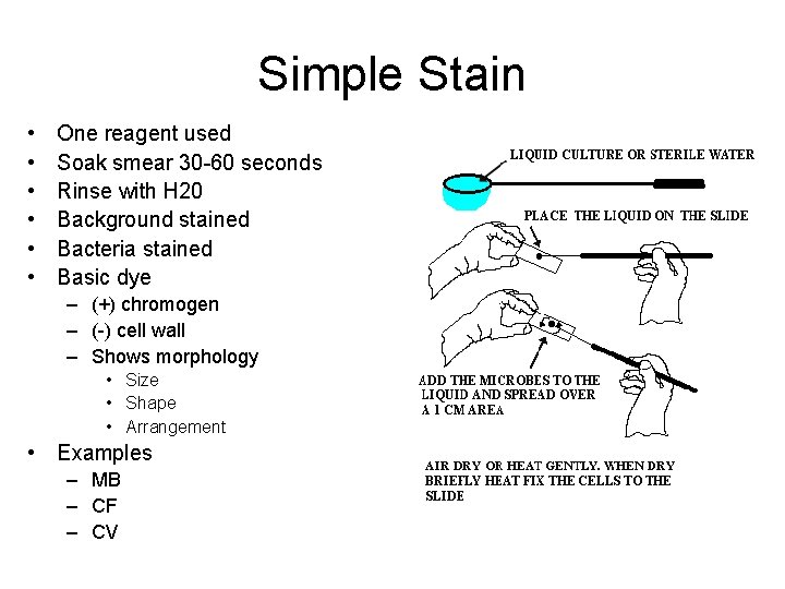 Simple Stain • • • One reagent used Soak smear 30 -60 seconds Rinse
