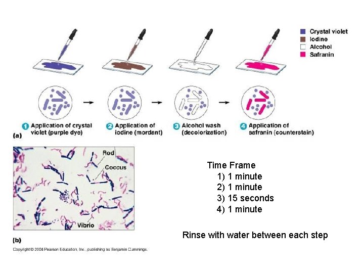 Time Frame 1) 1 minute 2) 1 minute 3) 15 seconds 4) 1 minute