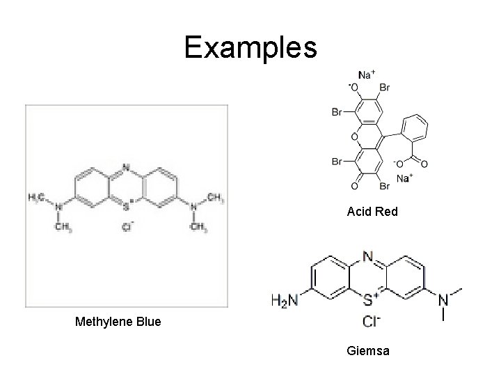 Examples Acid Red Methylene Blue Giemsa 