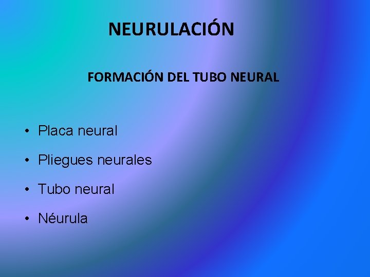 NEURULACIÓN FORMACIÓN DEL TUBO NEURAL • Placa neural • Pliegues neurales • Tubo neural NEURULACIÓN FORMACIÓN DEL TUBO NEURAL • Placa neural • Pliegues neurales • Tubo neural