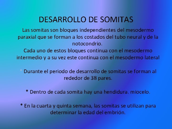 DESARROLLO DE SOMITAS Las somitas son bloques independientes del mesodermo paraxial que se forman